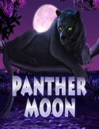 เว็บพนัน เครดิตฟรี ไม่ต้องฝาก 2021 ที่คุณต้องลอง!